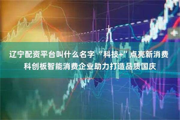辽宁配资平台叫什么名字 “科技+”点亮新消费 科创板智能消费企业助力打造品质国庆