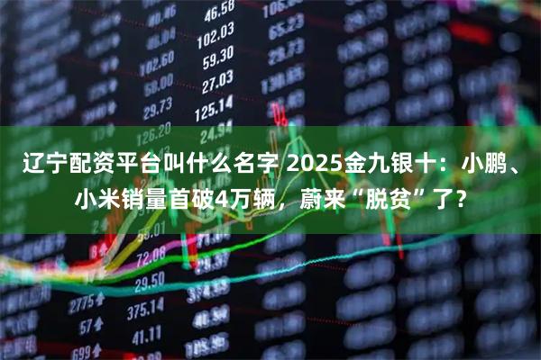 辽宁配资平台叫什么名字 2025金九银十:小鹏、小米销量首破4万辆,蔚来“脱贫”了?