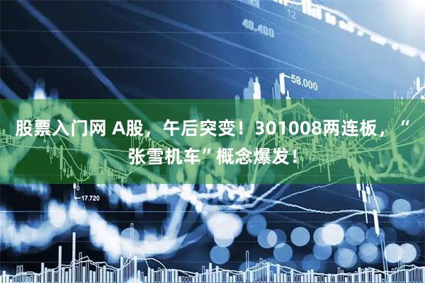 股票入门网 A股，午后突变！301008两连板，“张雪机车”概念爆发！